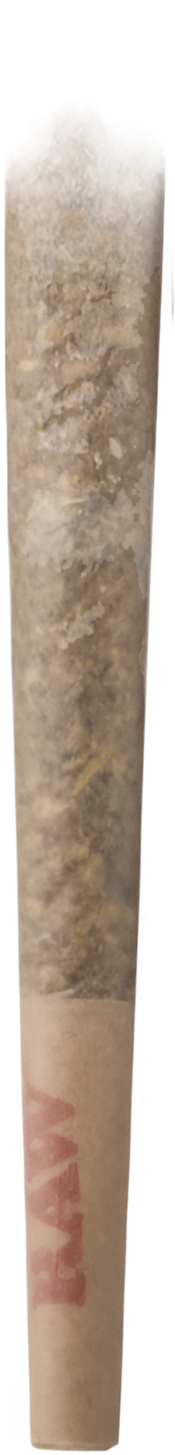 BLUE DREAM 🫐🌳 - CANNON CONE’Z 💨