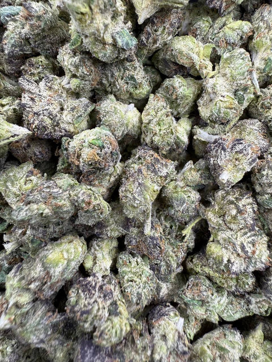 BACIO GELATO 🍦🍫 - THCa FLOWER BB BUD’s EXOTIC (🥇M-ZATICS INSIDER DEALS)