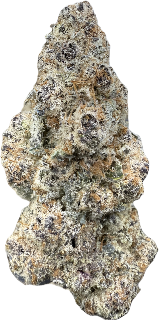 SUB ZERO 🥶🎄🌶️ - “mZAtics” INDOOR (🥇M-ZATICS  INSIDER DEALS)