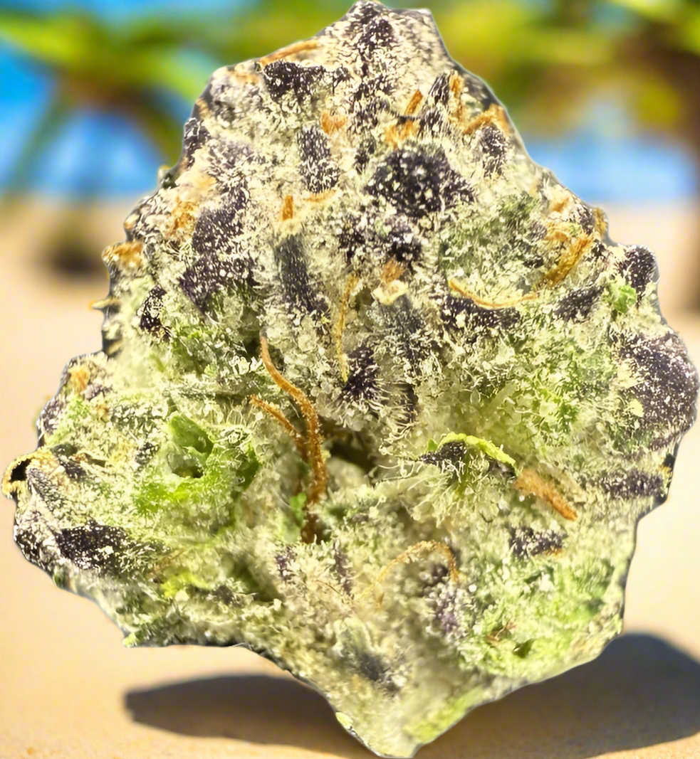 GUMBO -THCa FLOWER “BB” BUD’s EXOTIC (🥇M-ZATICS INSIDER DEALS)