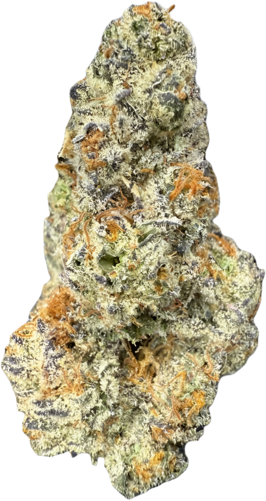 WHITE TRUFFLE ⛽️🌳- “mZAtics” INDOOR (🥇M-ZATICS  INSIDER DEALS)
