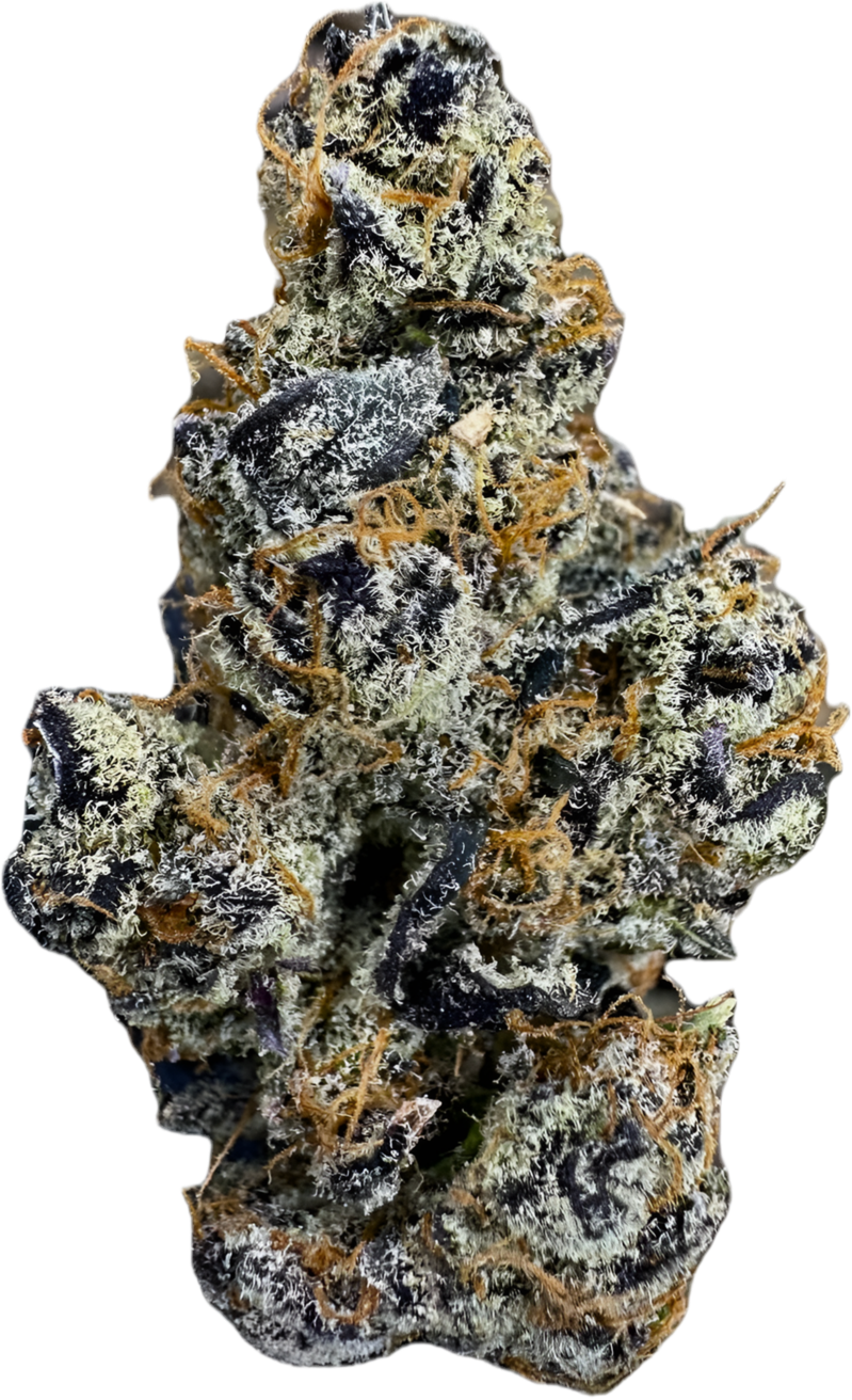 JACK HERER 🎄🍋‍🟩⛽️ - “mZAtics” INDOOR (🥇M-ZATICS  INSIDER DEALS)