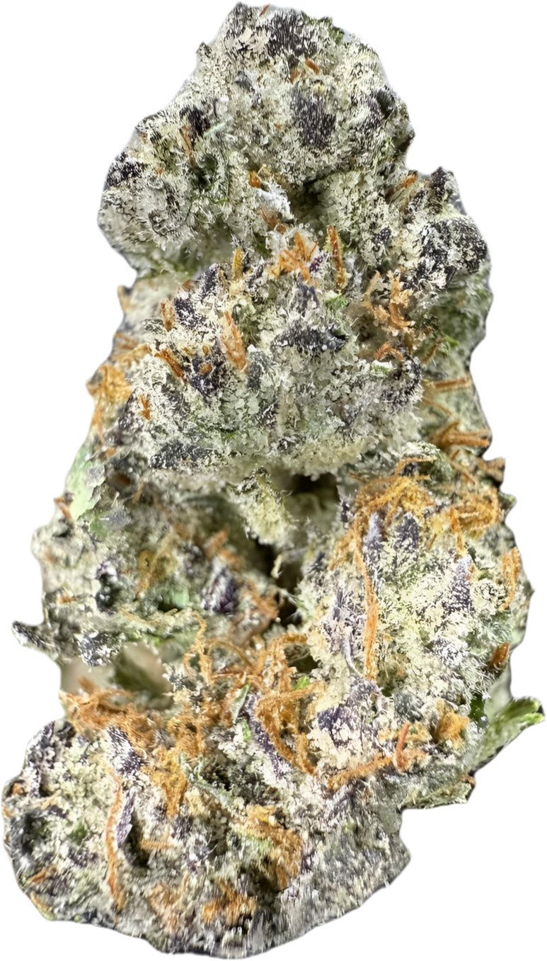 GUMBO - “mZAtics” INDOOR (🥇M-ZATICS  INSIDER DEALS)
