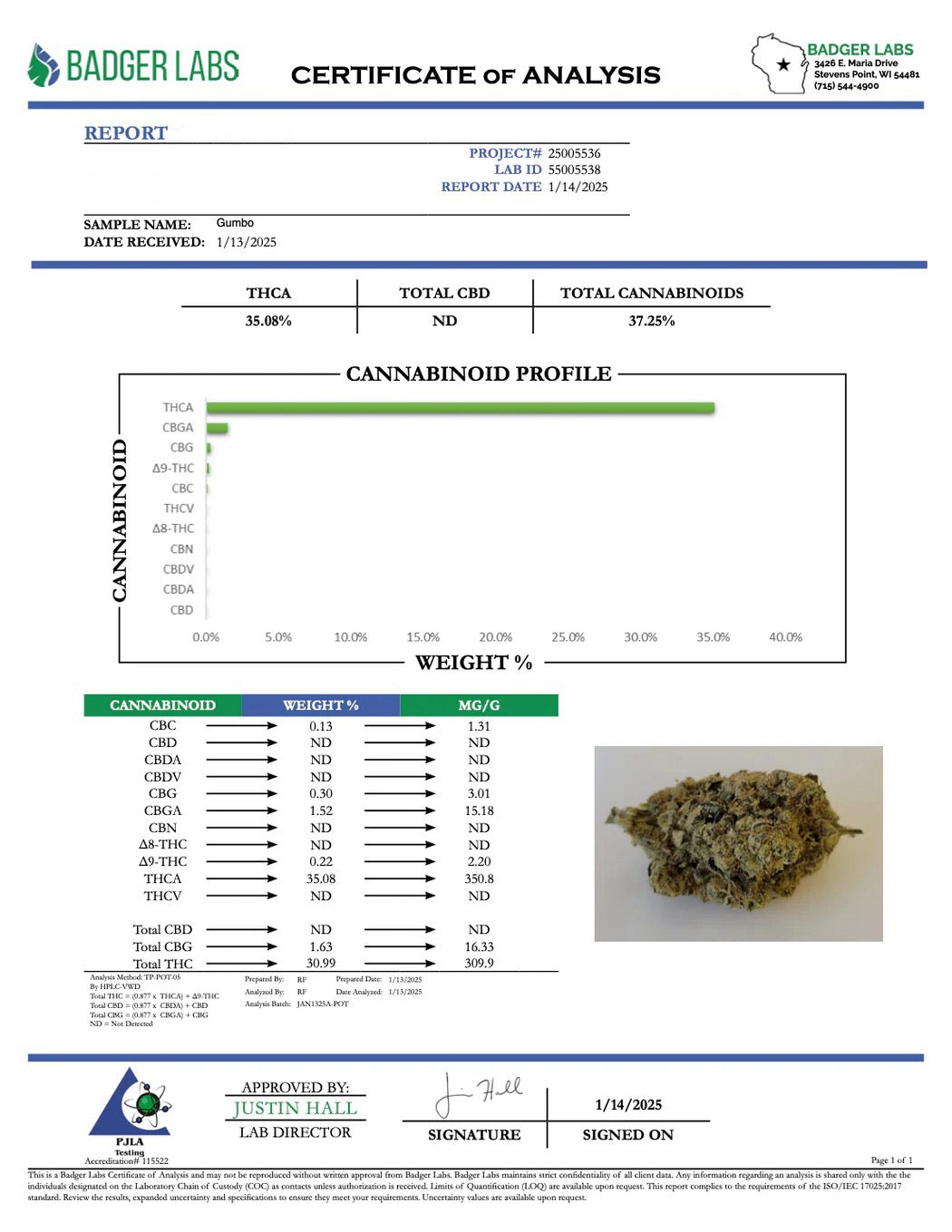 GUMBO -THCa FLOWER “BB” BUD’s EXOTIC (🥇M-ZATICS INSIDER DEALS)