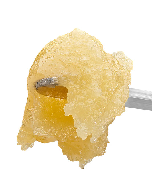 LEMON CHERRY GELATO THCa BADDER - CONCENTRATE