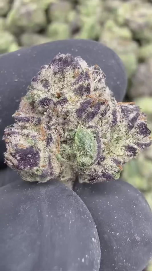 LEMON CHERRY GELATO ￼🍋🍒 -THCa FLOWER BB BUD’s EXOTIC (🥇M-ZATICS INSIDER DEALS)