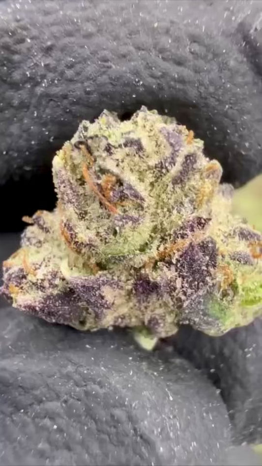 CANDY GAS ⛽️ 🍭- THCa “BB” BUD’s EXOTIC (🥇M-ZATICS INSIDER DEALS)