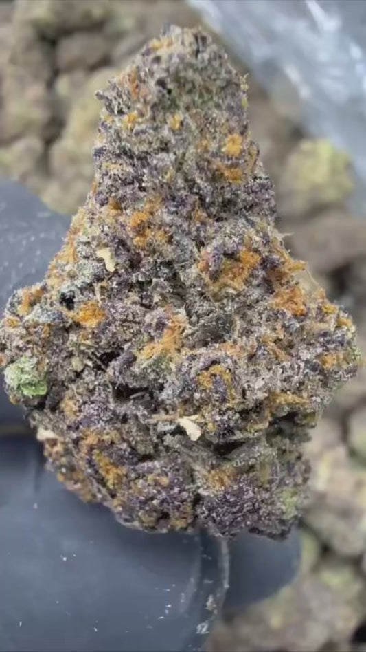 PINK RUNTZ 🔥🌈🌳 - “mZAtics” INDOOR (🥇M-ZATICS  INSIDER DEALS)
