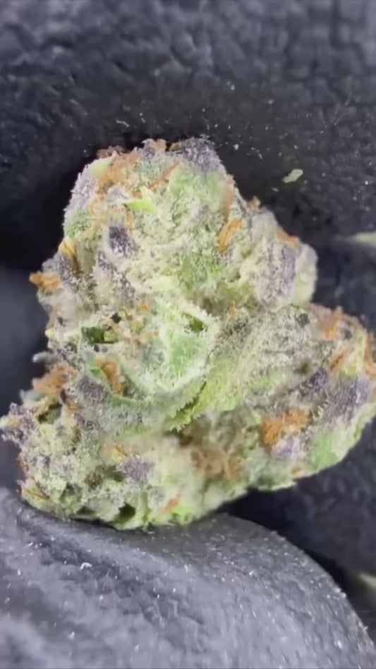 MOCHI 🍫- THCa FLOWER BB BUD’s EXOTIC (🥇M-ZATICS INSIDER DEALS)